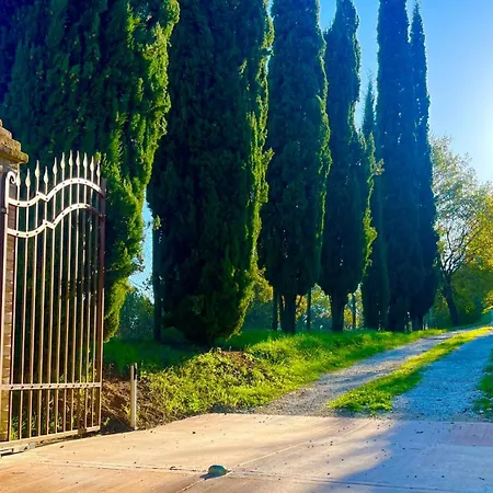 Vindelbono Sansepolcro